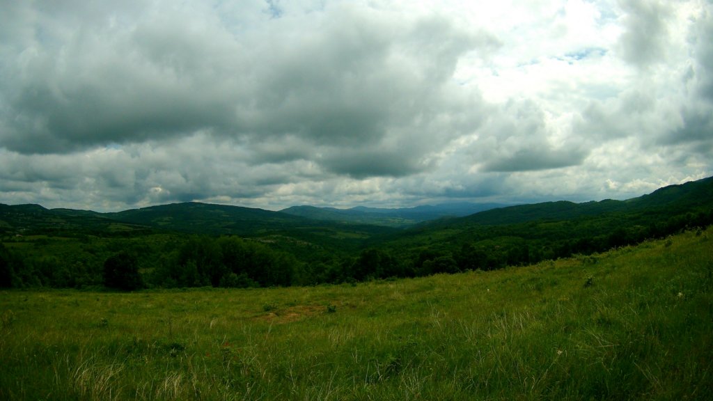 photo12.jpg