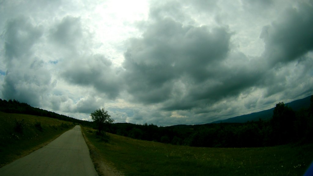 photo5.jpg