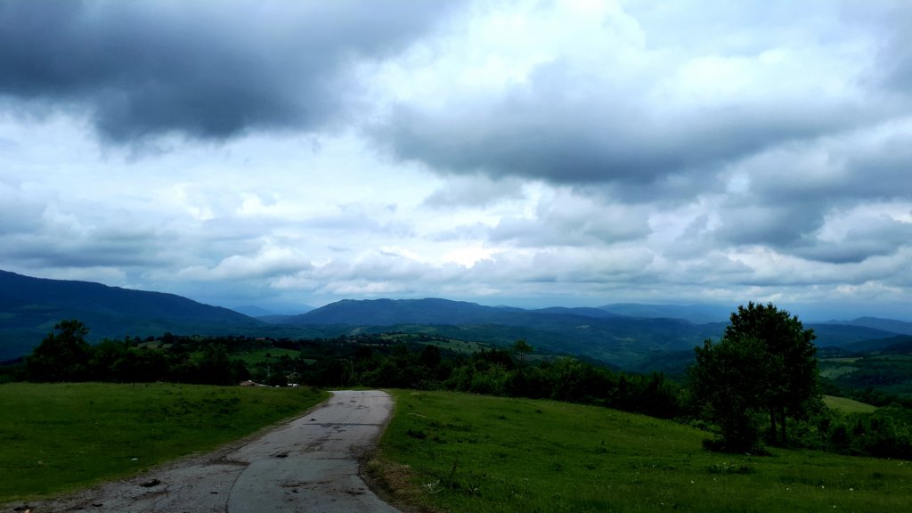 photo8.jpg