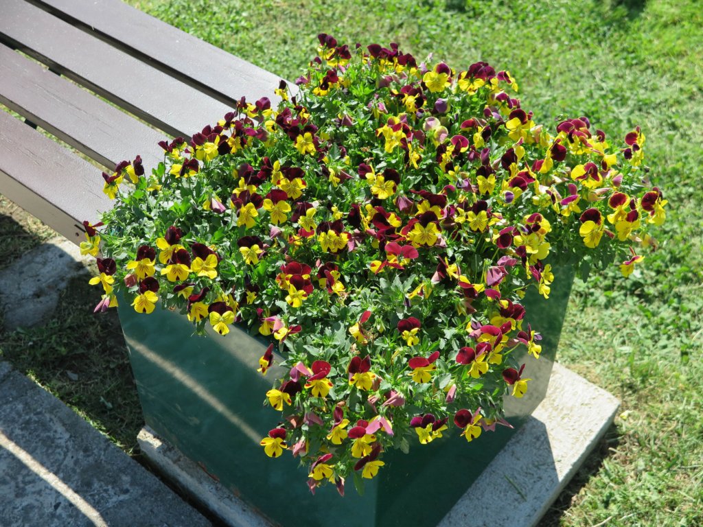 photo26.jpg
