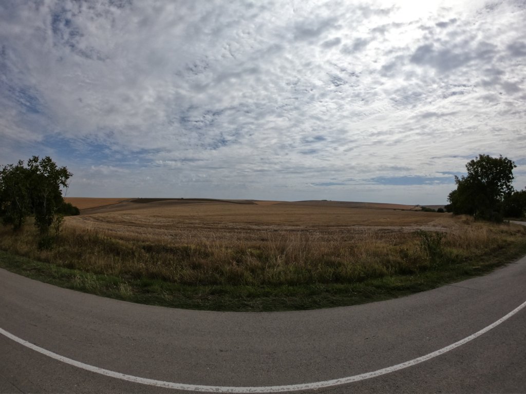 photo37.jpg