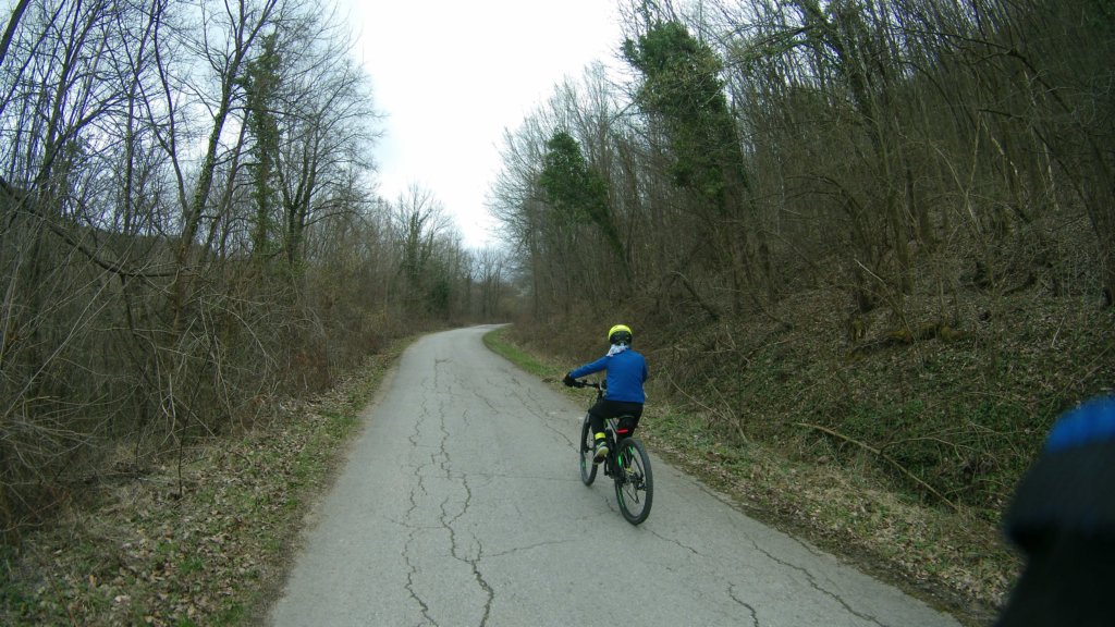 photo32.jpg