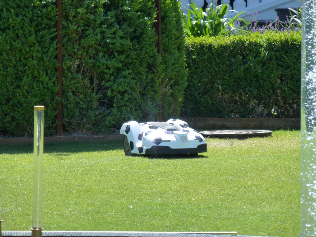 photo37.jpg