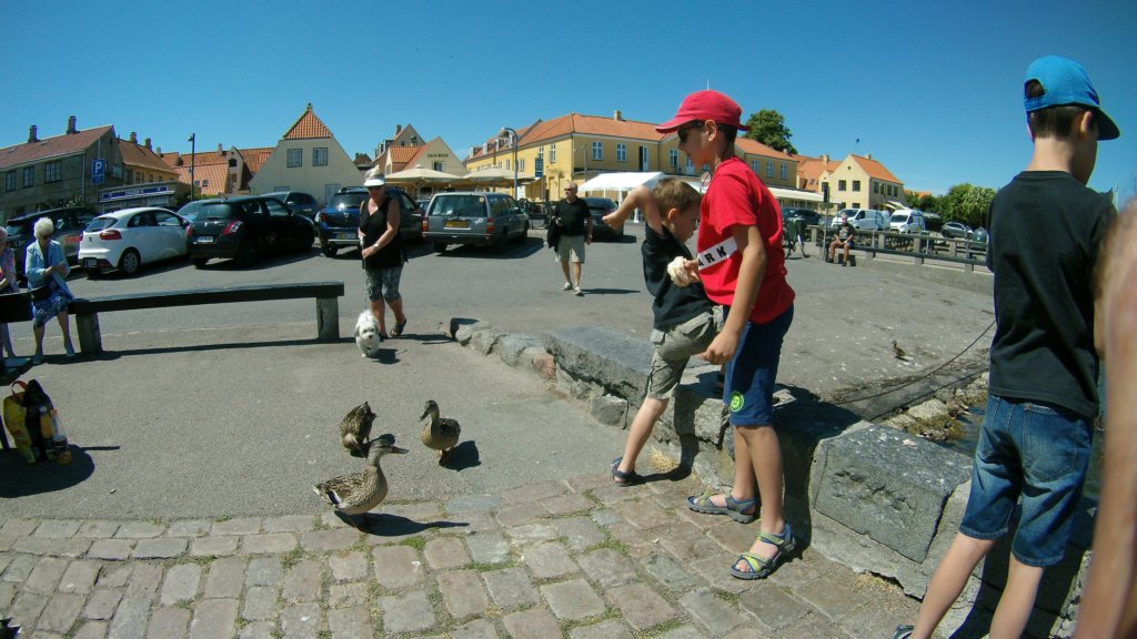 photo.jpg