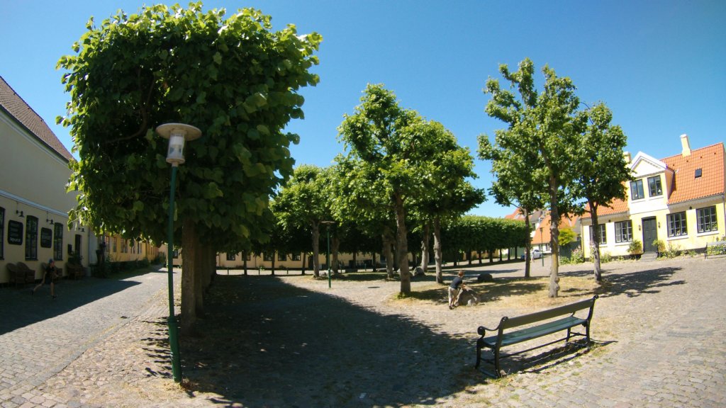 photo16.jpg