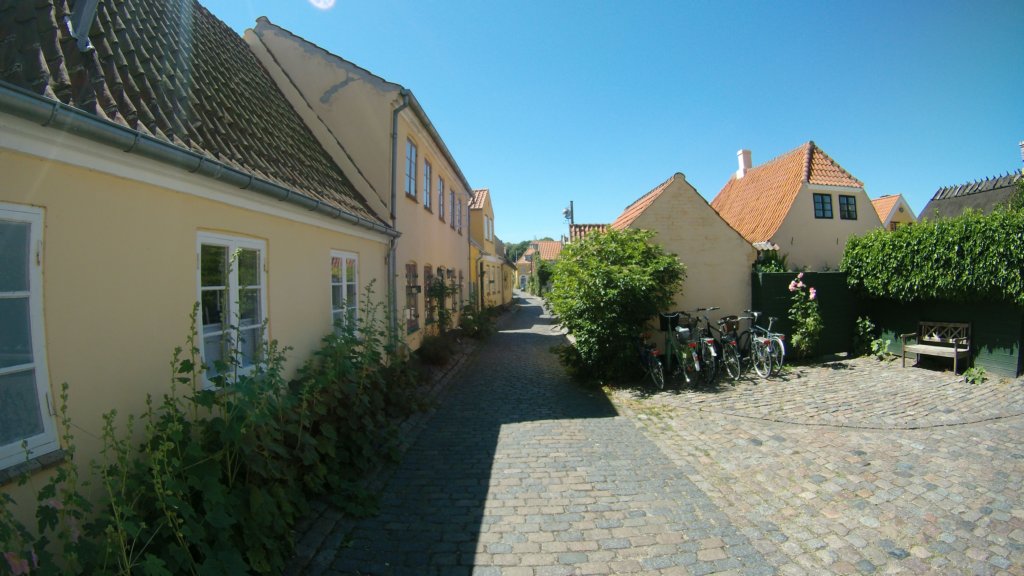 photo9.jpg