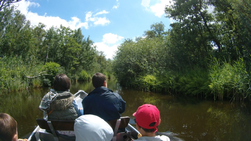 photo37.jpg