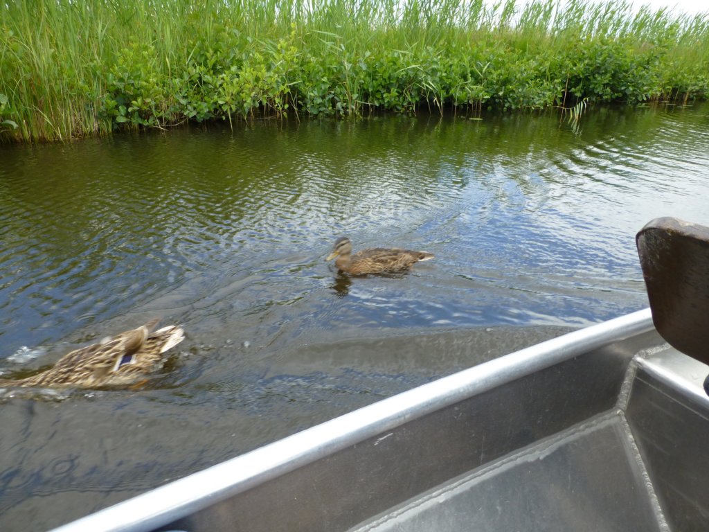 photo47.jpg