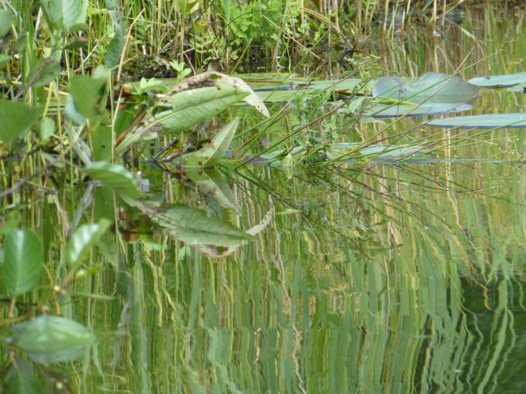 photo48.jpg
