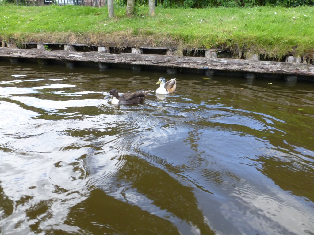 photo57.jpg