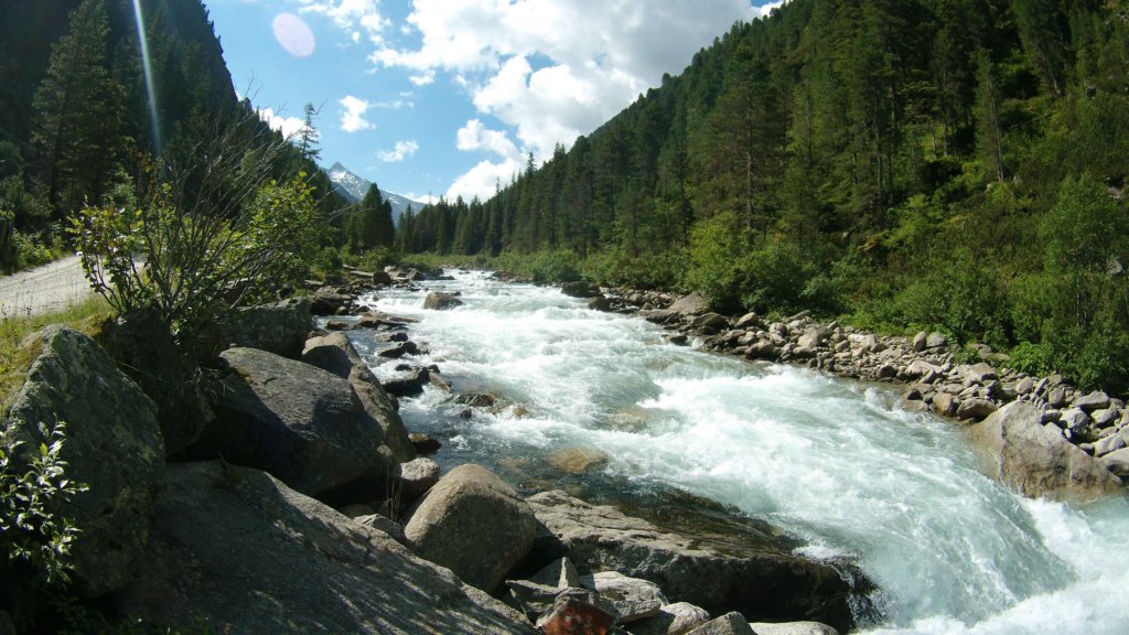 photo44.jpg