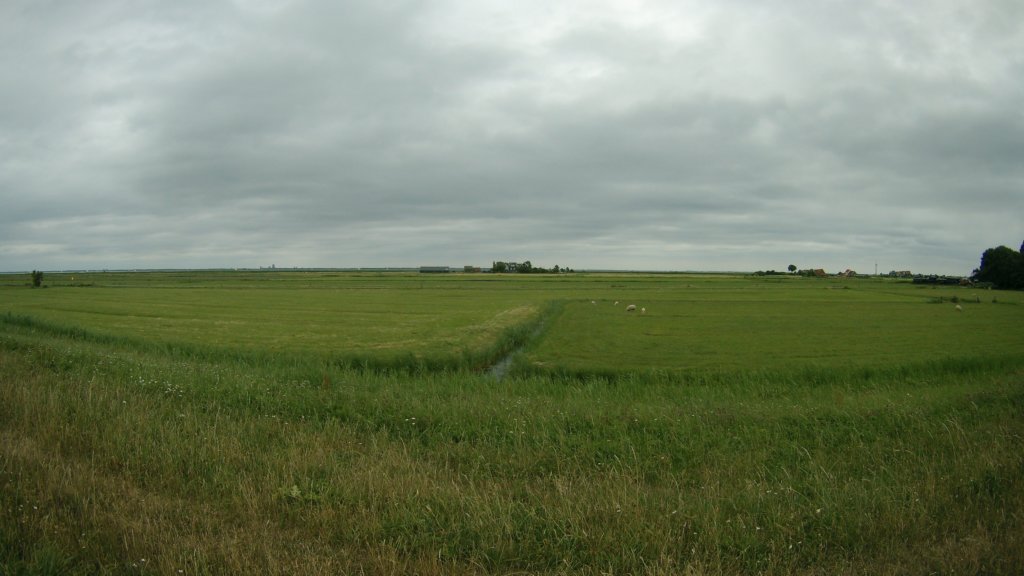 photo85.jpg