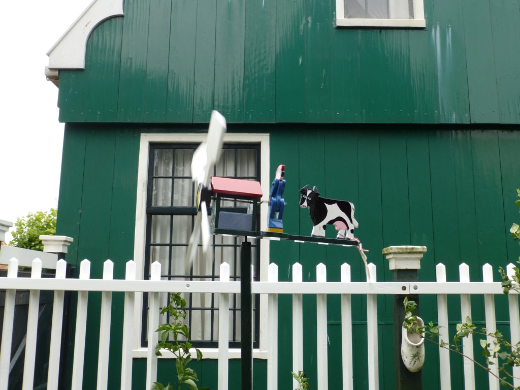 photo29.jpg