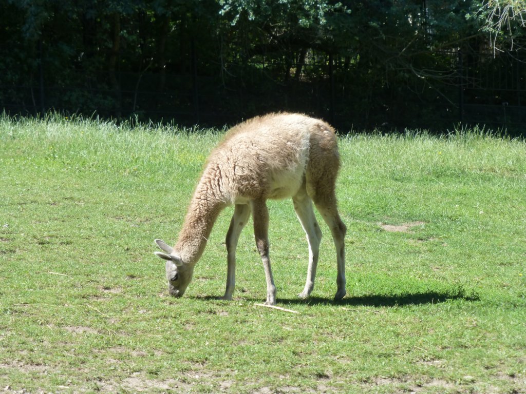 photo36.jpg