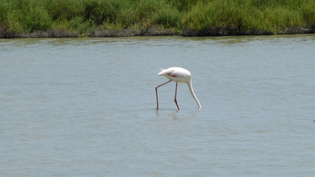 photo33.jpg