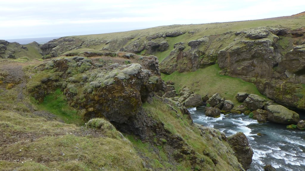 skogarivertrailpath29.jpg