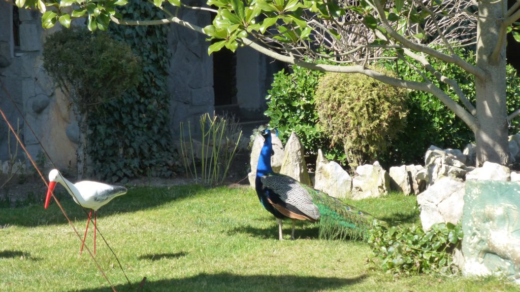 photo164.jpg