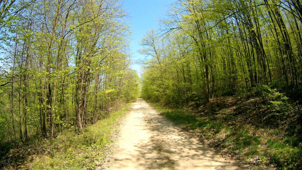 photo56.jpg