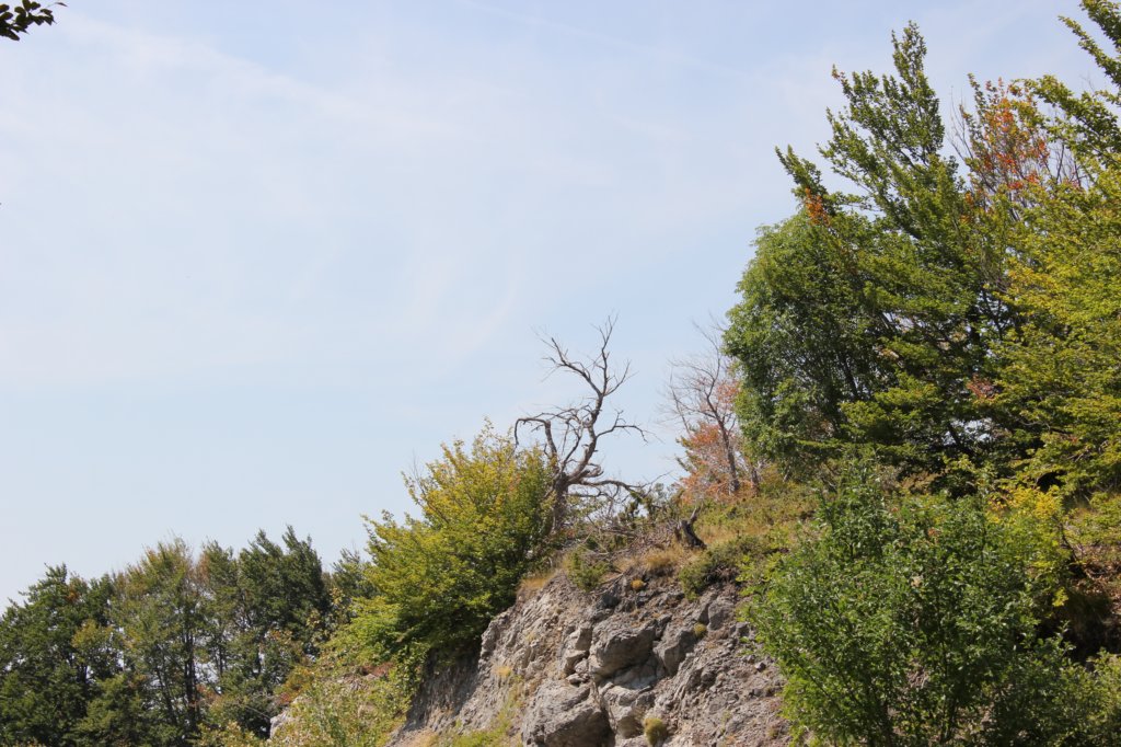 photo50.jpg