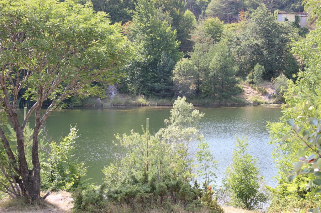 photo54.jpg