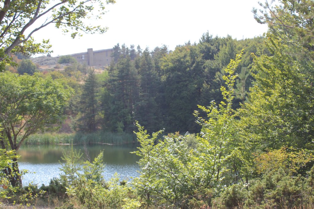 photo67.jpg