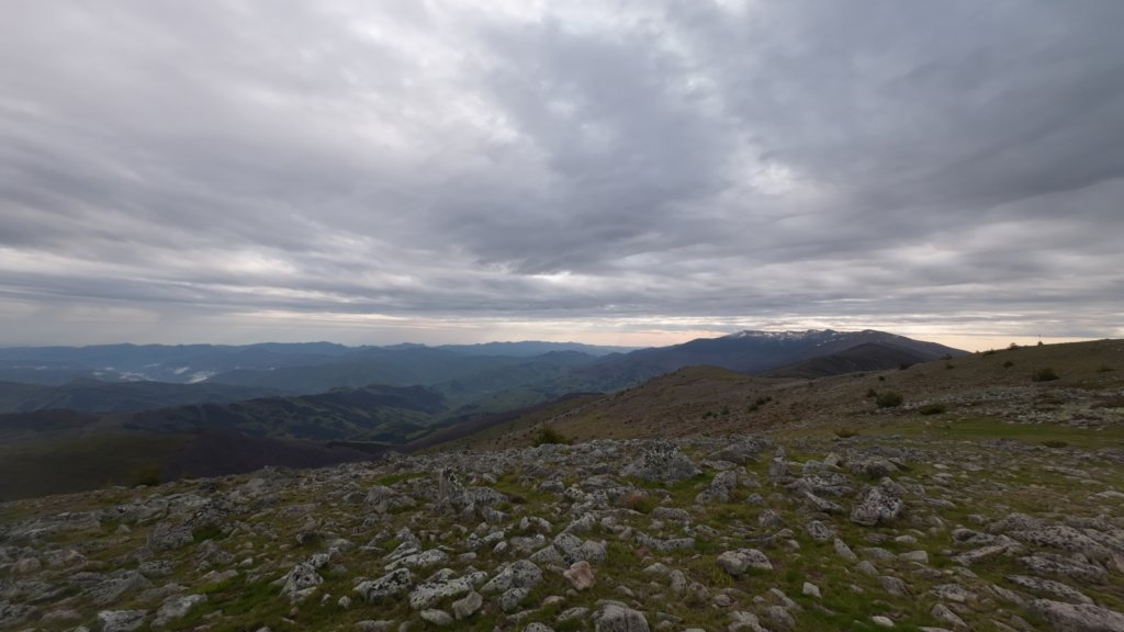 photo20.jpg