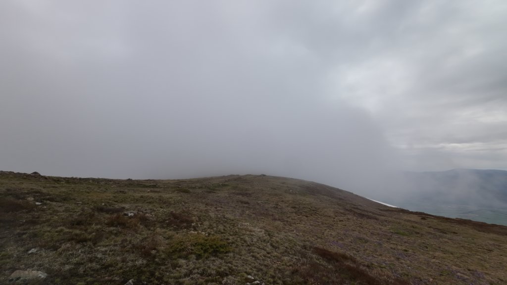 photo29.jpg
