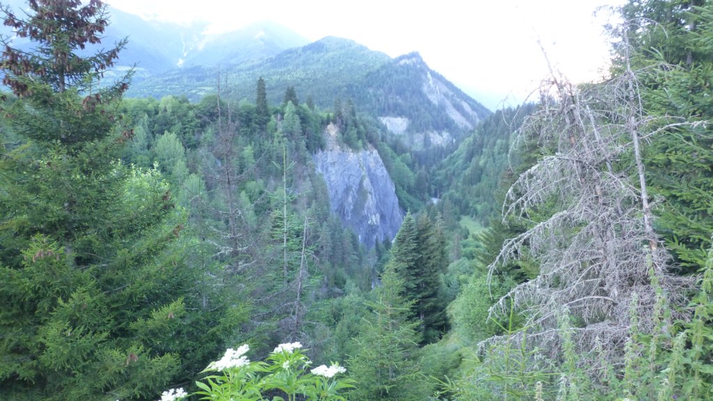 photo64.jpg
