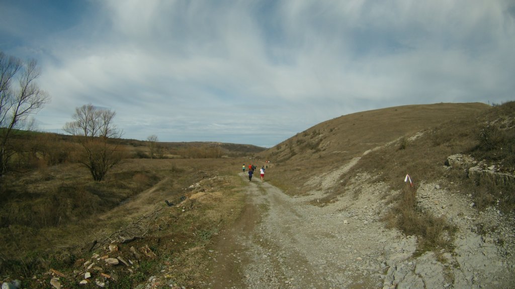 photo54.jpg