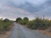 photo74_small.jpg