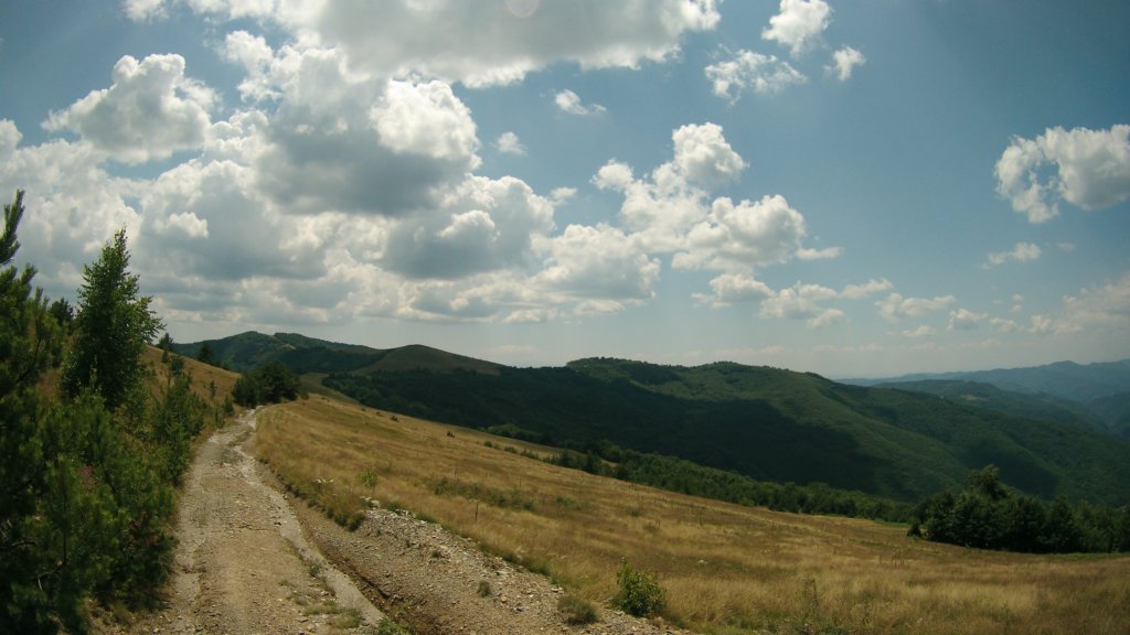 photo88.jpg