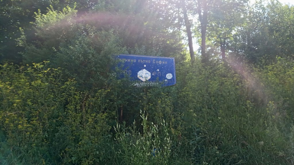 photo87.jpg