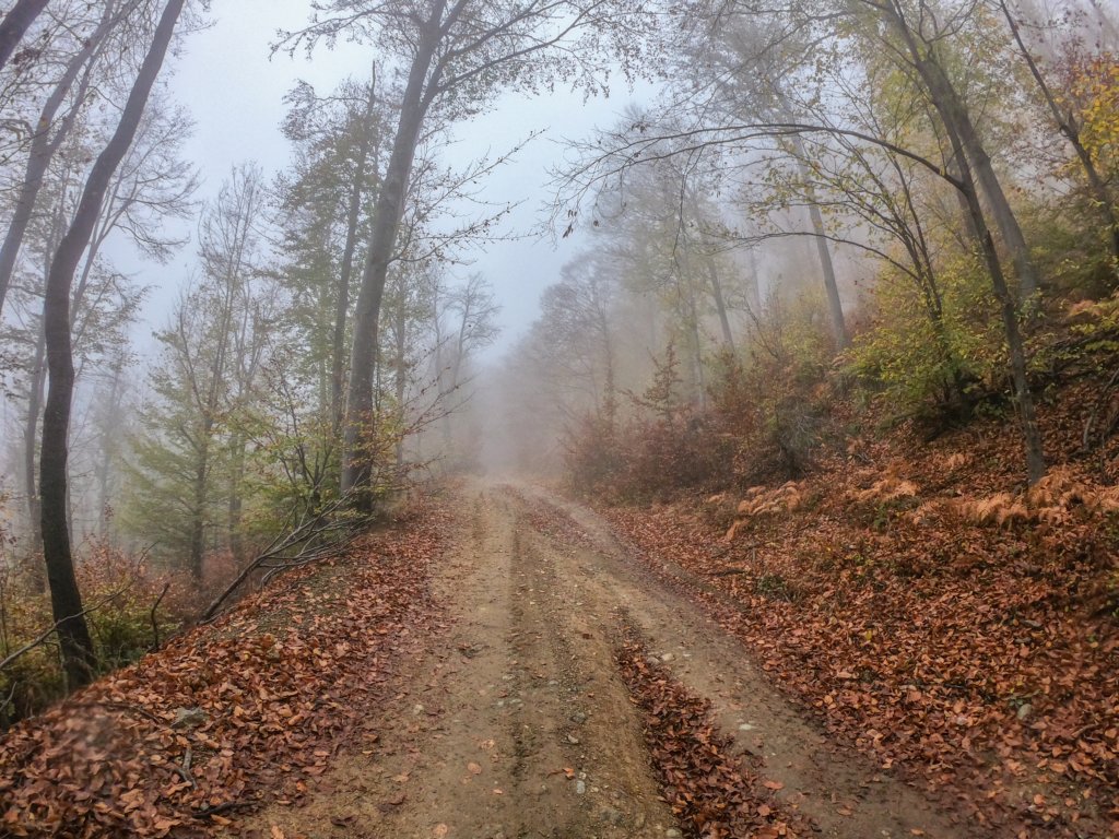 photo10.jpg