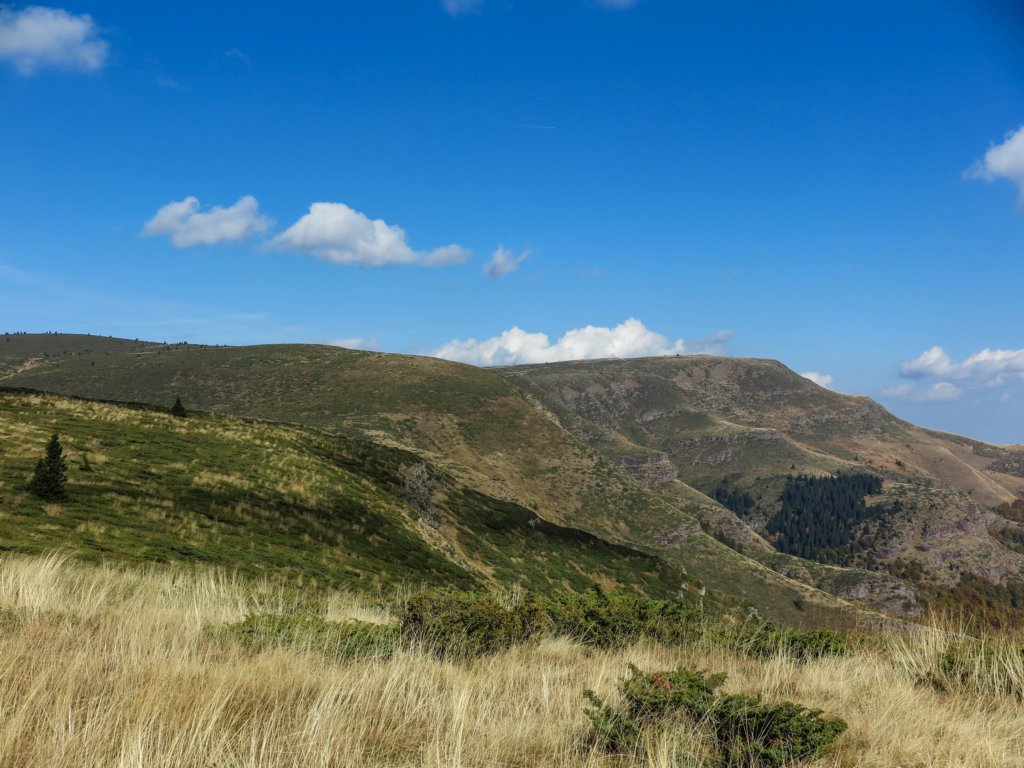 photo10.jpg