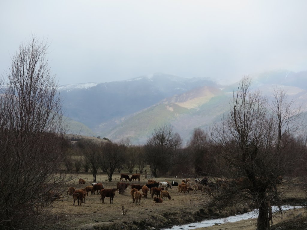 photo7.jpg