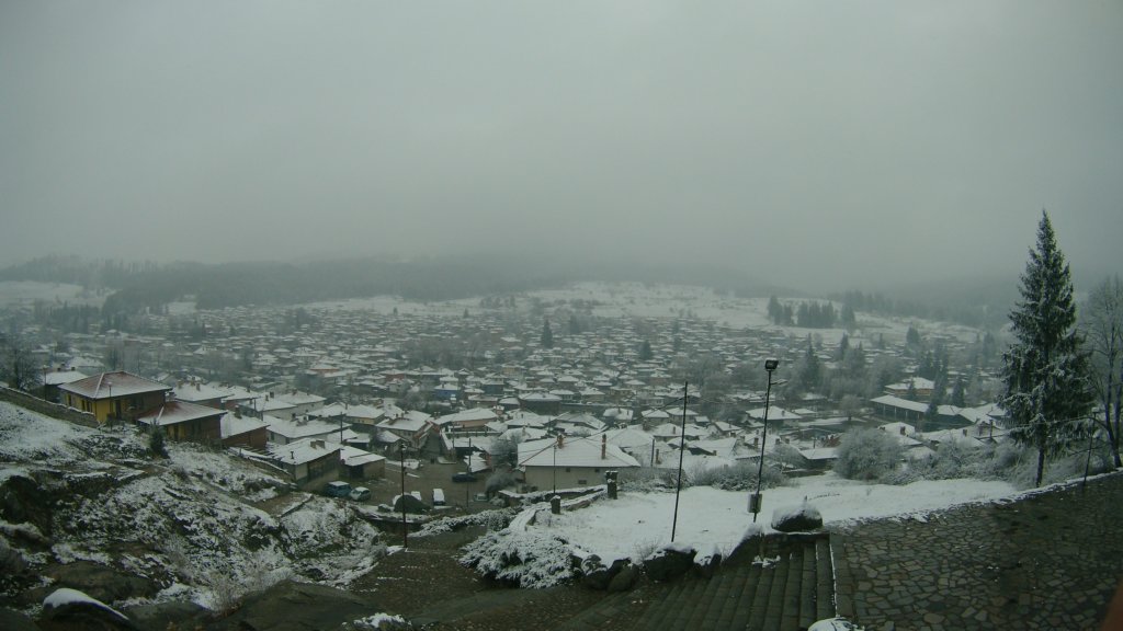 photo66.jpg