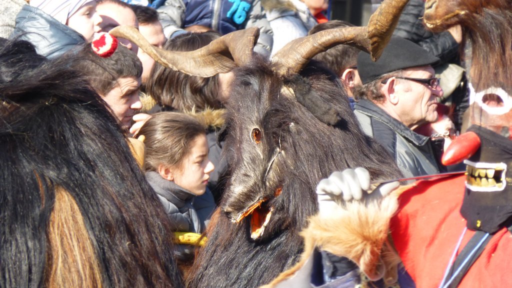 photo43.jpg