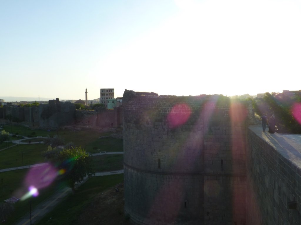 photo24.jpg