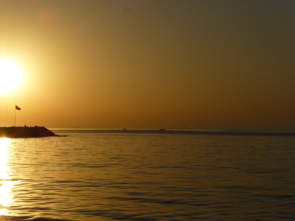 photo23.jpg