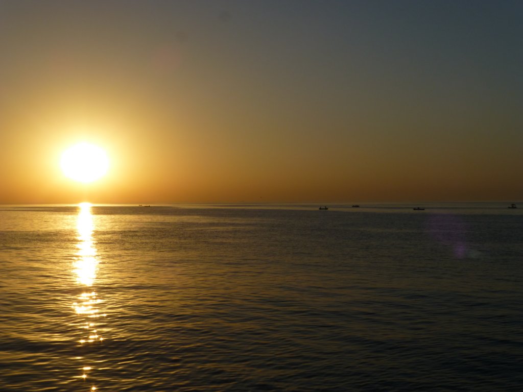 photo29.jpg