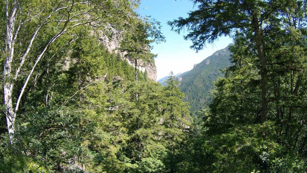 photo50.jpg