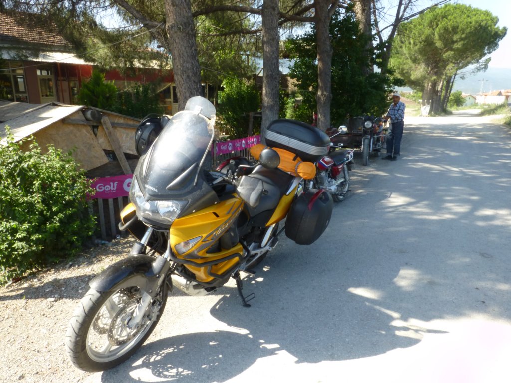 sinopbolu2.jpg