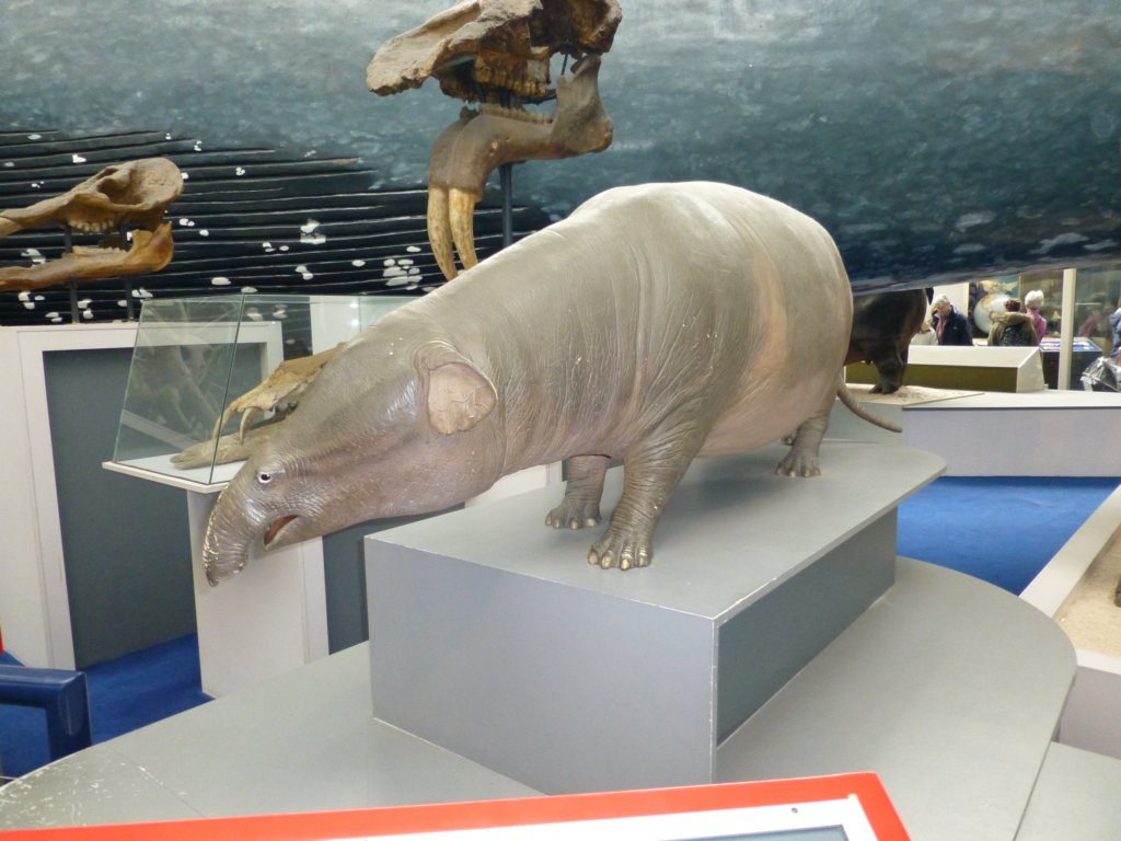 naturalhistorymuseum14.jpg