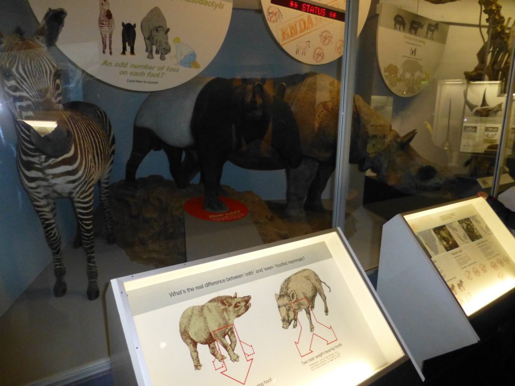 naturalhistorymuseum17.jpg