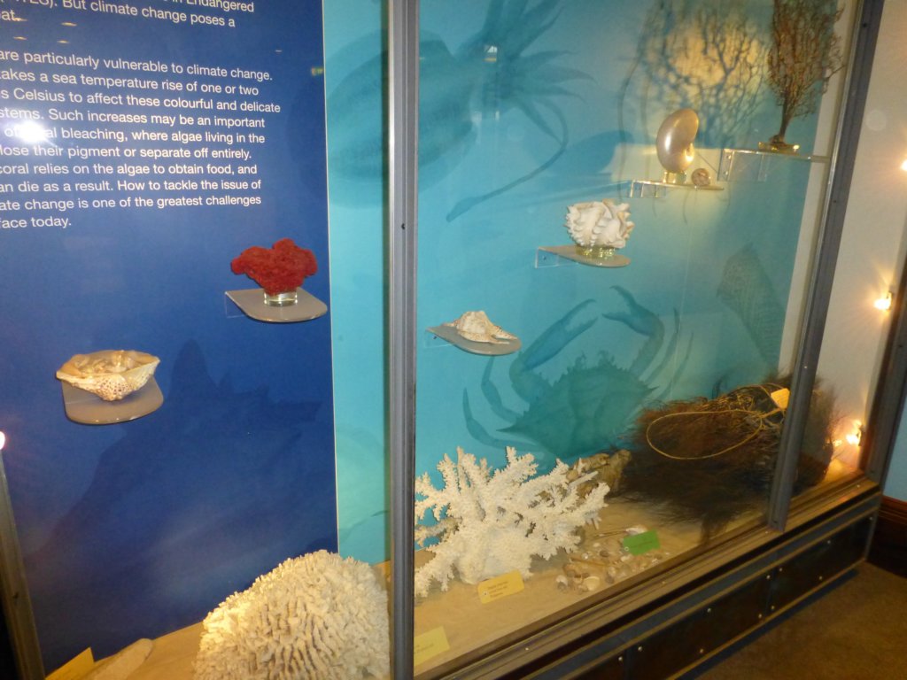 naturalhistorymuseum19.jpg