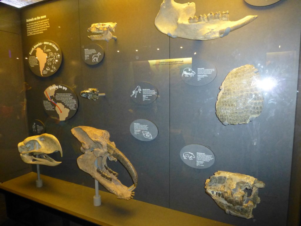 naturalhistorymuseum30.jpg