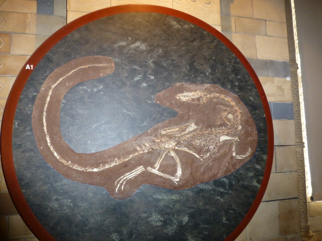 photo11.jpg