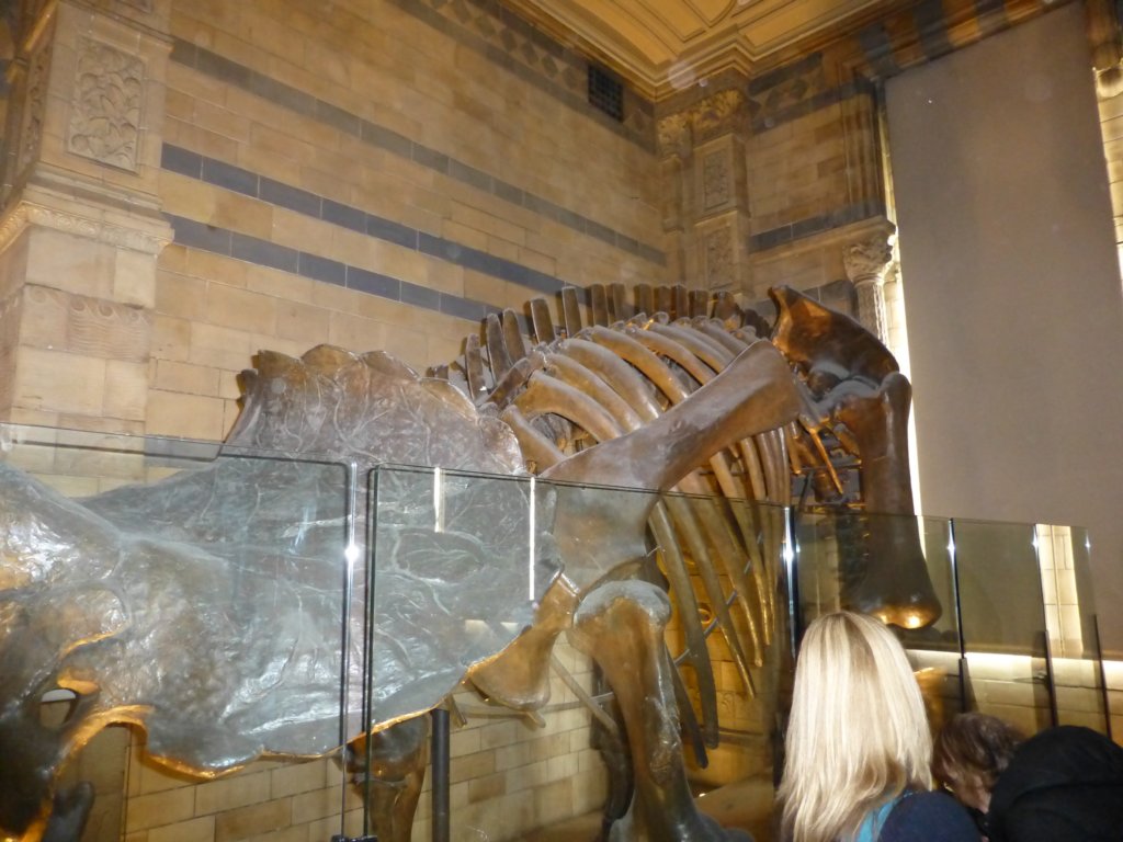 photo14.jpg