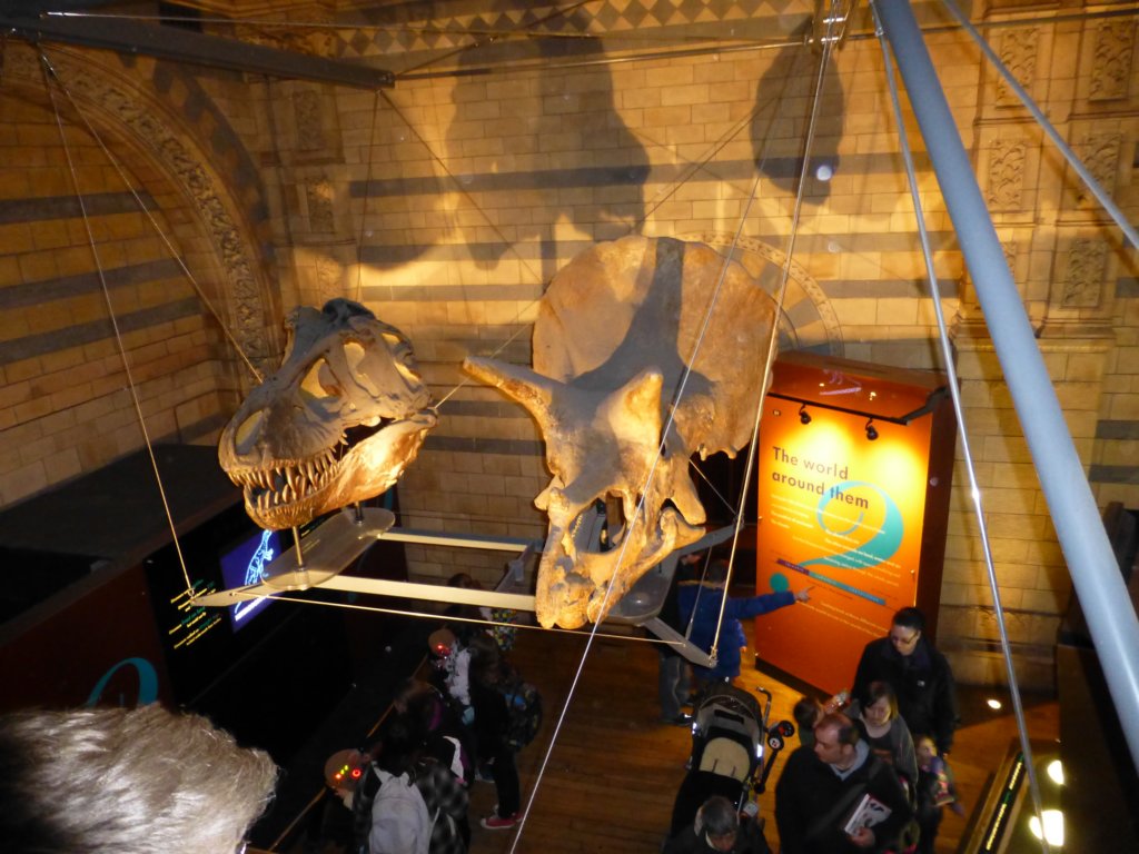 photo23.jpg