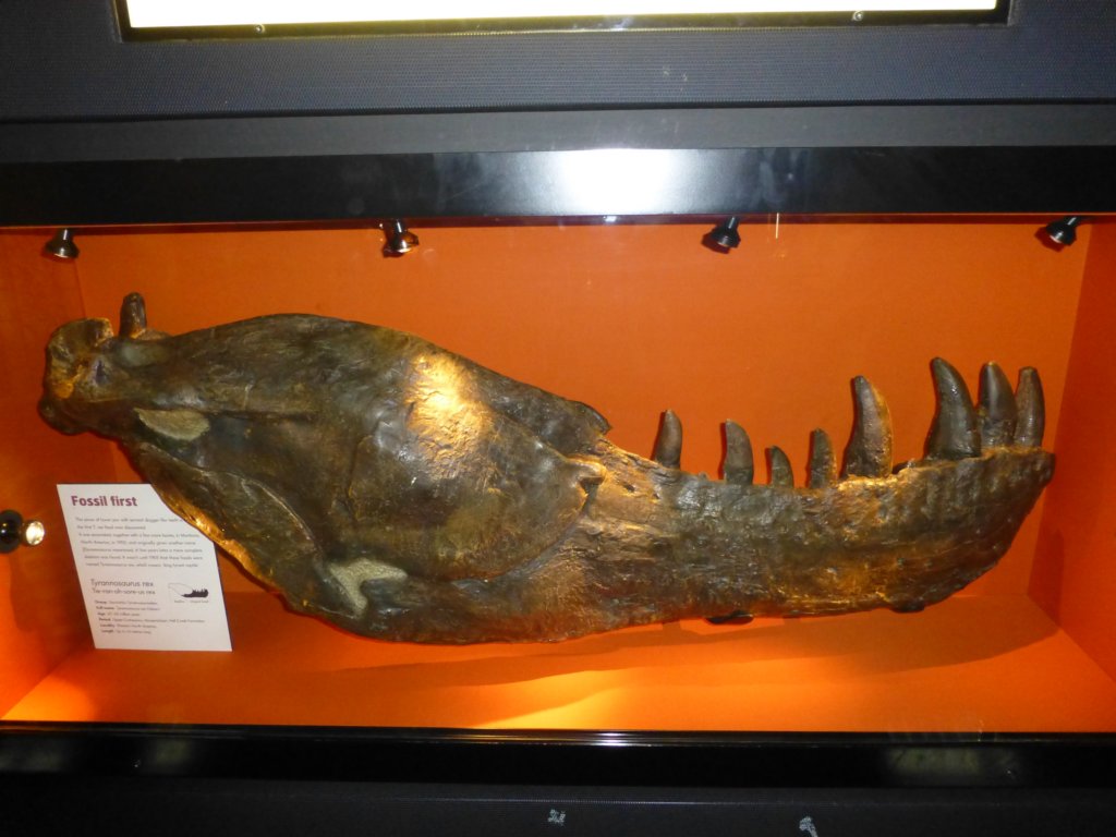 photo25.jpg